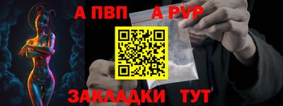 a pvp Тара