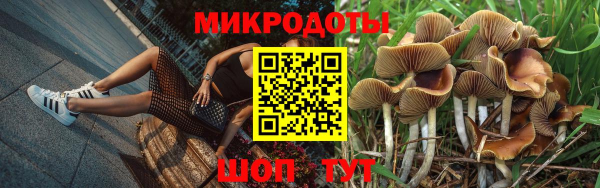 Псилоцибиновые грибы мухоморы Орехово-Зуево