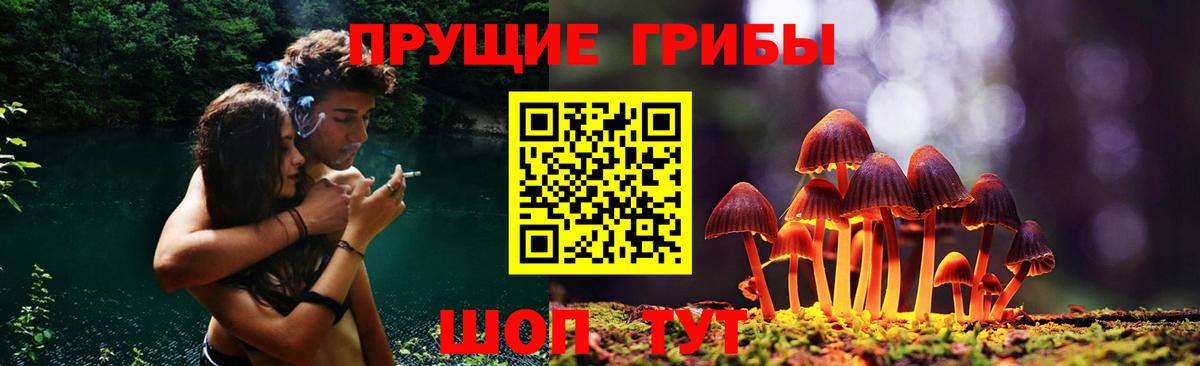 Орехово-Зуево  Галлюциногенные грибы GOLDEN TEACHER  Вход с VPN 